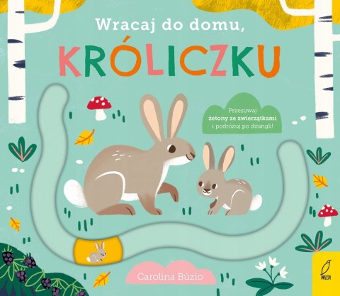 Książka Wracaj do Domu Króliczku Wilga