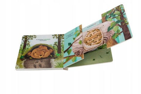 Kto tu mieszka? Książka rozsuwanka