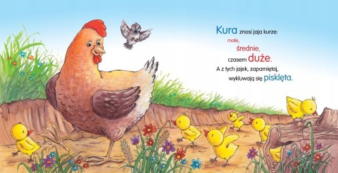 Kura ko ko Bajki Wierszyki Książeczka Kurka