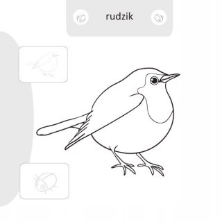Malowanie doklejanie Ptaki Kolorowanka Naklejki