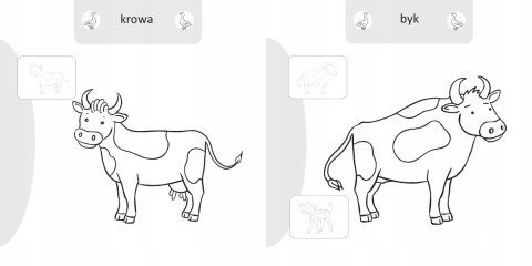 Malowanie doklejanie Zwierzęta na wsi Kolorowanka
