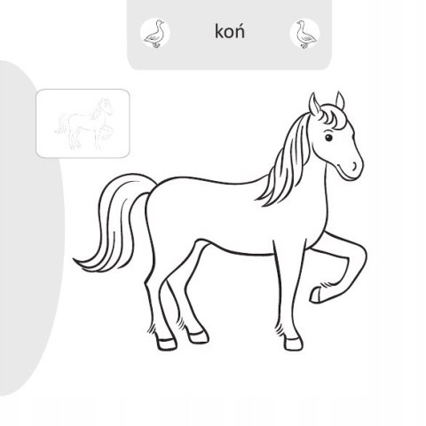 Malowanie doklejanie Zwierzęta na wsi Kolorowanka