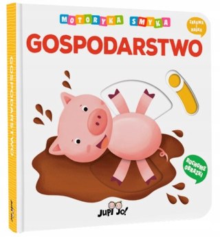 Motoryka smyka Gospodarstwo Ruchome Obrazki