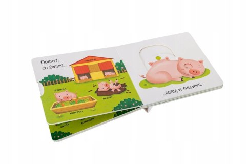 Motoryka smyka Gospodarstwo Ruchome Obrazki