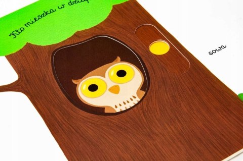 W Lesie Akademia Mądrego Dziecka Pierwsze Słowa Harperkids