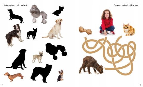 Wesołe łamigłówki Zwierzęta domowe naklejki