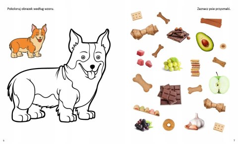 Wesołe łamigłówki Zwierzęta domowe naklejki