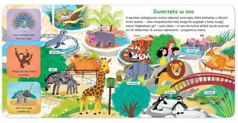 Akademia małego dziecka Poznaję zwierzęta Aksjomat