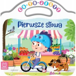 Co to jest? Pierwsze słowa Książeczka Maluszka Aksjomat
