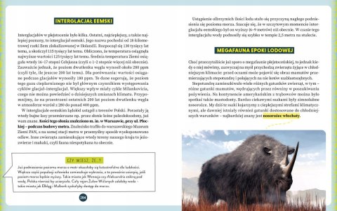 Dinozaury i wielkie ssaki Krzysztof Poznański