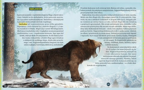 Dinozaury i wielkie ssaki Krzysztof Poznański
