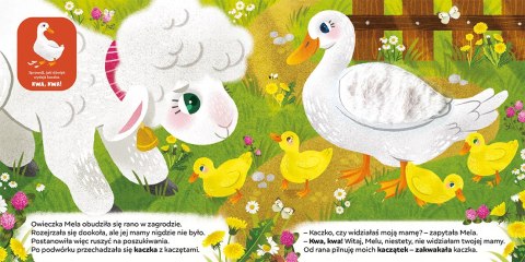 Dotykamy i Słuchamy Owieczka Mela Na Wsi Dźwiękowa