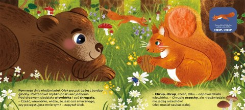 Dotykamy i Słuchamy w Lesie Niedźwiadek Dźwiękowa