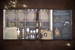 Historia naturalna magii książka dla dzieci