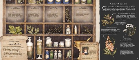 Historia naturalna magii książka dla dzieci