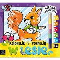 Koloruję i poznaję. W lesie. Kredka segmentowa Aksjomat