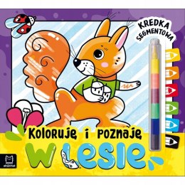 Koloruję i poznaję. W lesie. Kredka segmentowa Aksjomat