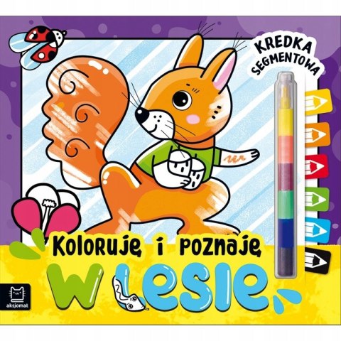 Koloruję i poznaję. W lesie. Kredka segmentowa Aksjomat