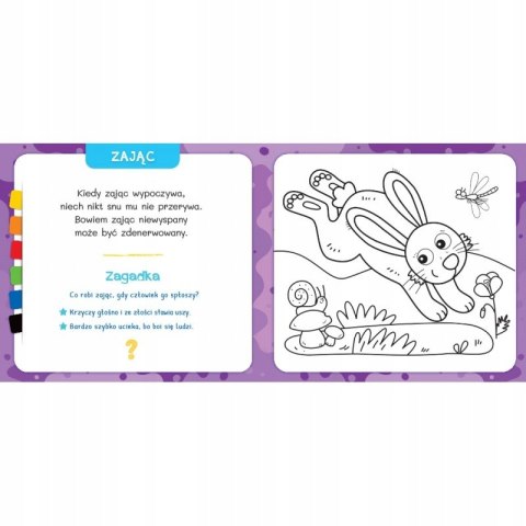 Koloruję i poznaję. W lesie. Kredka segmentowa Aksjomat