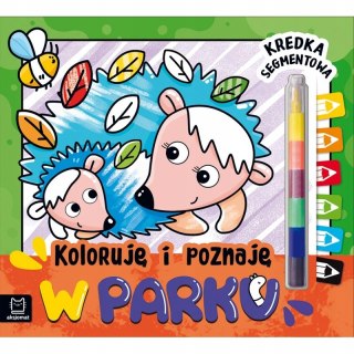 Koloruję i poznaję. W parku. Kredka segmentowa Aksjomat