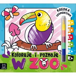 Koloruję i poznaję. W zoo. Kredka segmentowa Aksjomat
