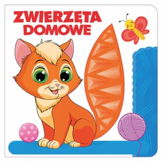 Książeczka Sensoryczna Kotek Zwierzęta Domowe Dotykowa
