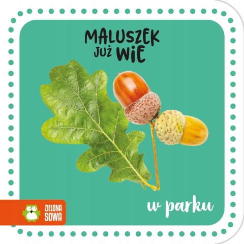 Maluszek już wie w Parku Książeczka Harmonijka Zielona Sowa