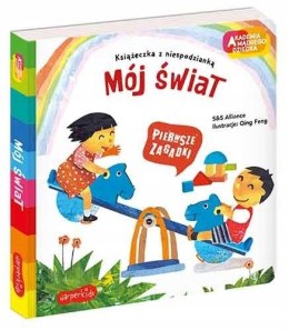 Mój świat Pierwsze zagadki Akademia mądrego