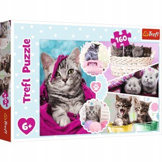 Puzzle 160 Urocze Kotki Kotek 15371 Trefl