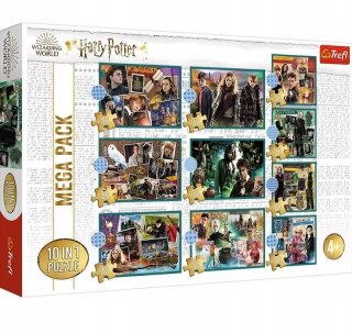 Puzzle W świecie Harrego Pottera 10w1 Trefl 90392