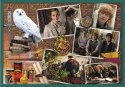 Puzzle W świecie Harrego Pottera 10w1 Trefl 90392