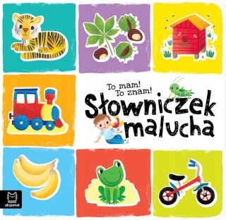 To mam To znam Słowniczek malucha Książeczka Aksjomat