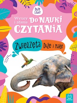 Wyrazy i zdania do nauki czytania Zwierzęta duże Aksjomat