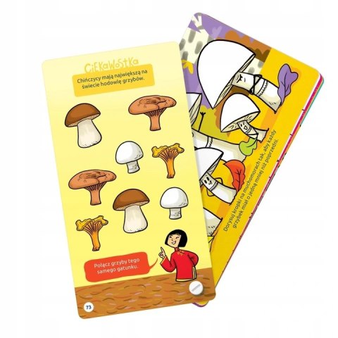 Fantastyczne Gry Logiczne 5+ Czuczu Łamigłówki