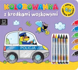 Kolorowanka z kredkami woskowymi Udane zabawy Aksjomat