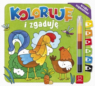 Koloruję i zgaduję Kredka segmentowa Aksjomat