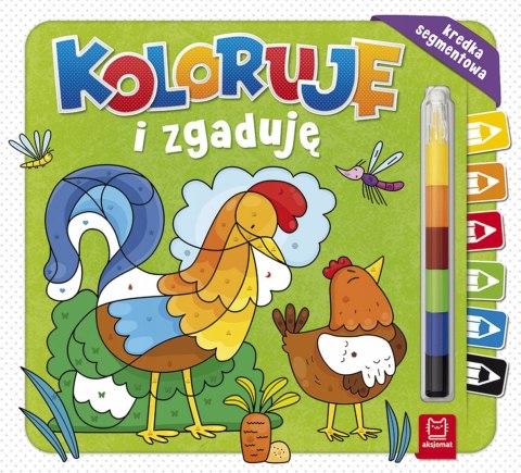 Koloruję i zgaduję Kredka segmentowa Aksjomat