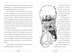 Książka Baśnie braci Grimm Królewna Śnieżka i inne