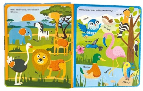 Książka Sensoryczna Poznaję Kolory Zwierzęta Świat