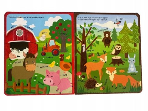 Książka Sensoryczna Poznaję Kolory Zwierzęta Świat