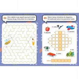 Łamigłówki bystrzaka 6+ Książeczka z koalą Zagadki Aksjomat