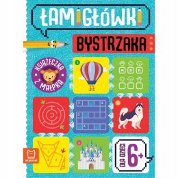 Łamigłówki bystrzaka 6+ Książeczka z małpką Aksjomat