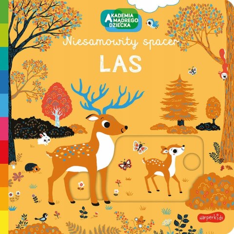 Las Akademia mądrego dziecka. Niesamowity spacer