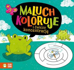 Maluch koloruje i ćwiczy koncentrację Zielona Sowa