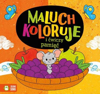 Maluch koloruje i ćwiczy pamięć Kolorowanka Zielona Sowa