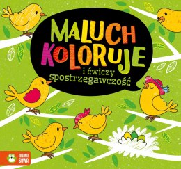 Maluch koloruje i ćwiczy spostrzegawczość Zielona Sowa