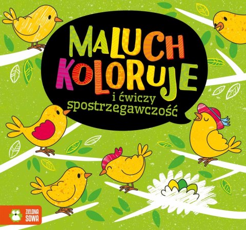 Maluch koloruje i ćwiczy spostrzegawczość Zielona Sowa
