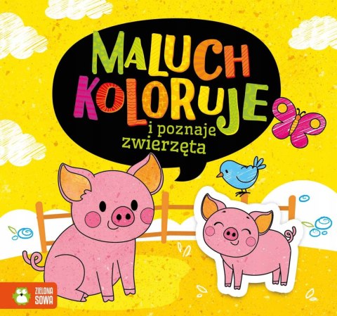 Maluch koloruje i poznaje Zwierzęta Zielona Sowa