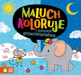 Maluch koloruje i poznaje przeciwieństwa Zielona Sowa