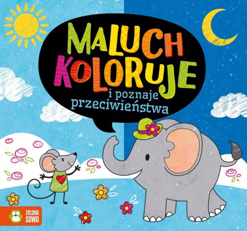 Maluch koloruje i poznaje przeciwieństwa Zielona Sowa